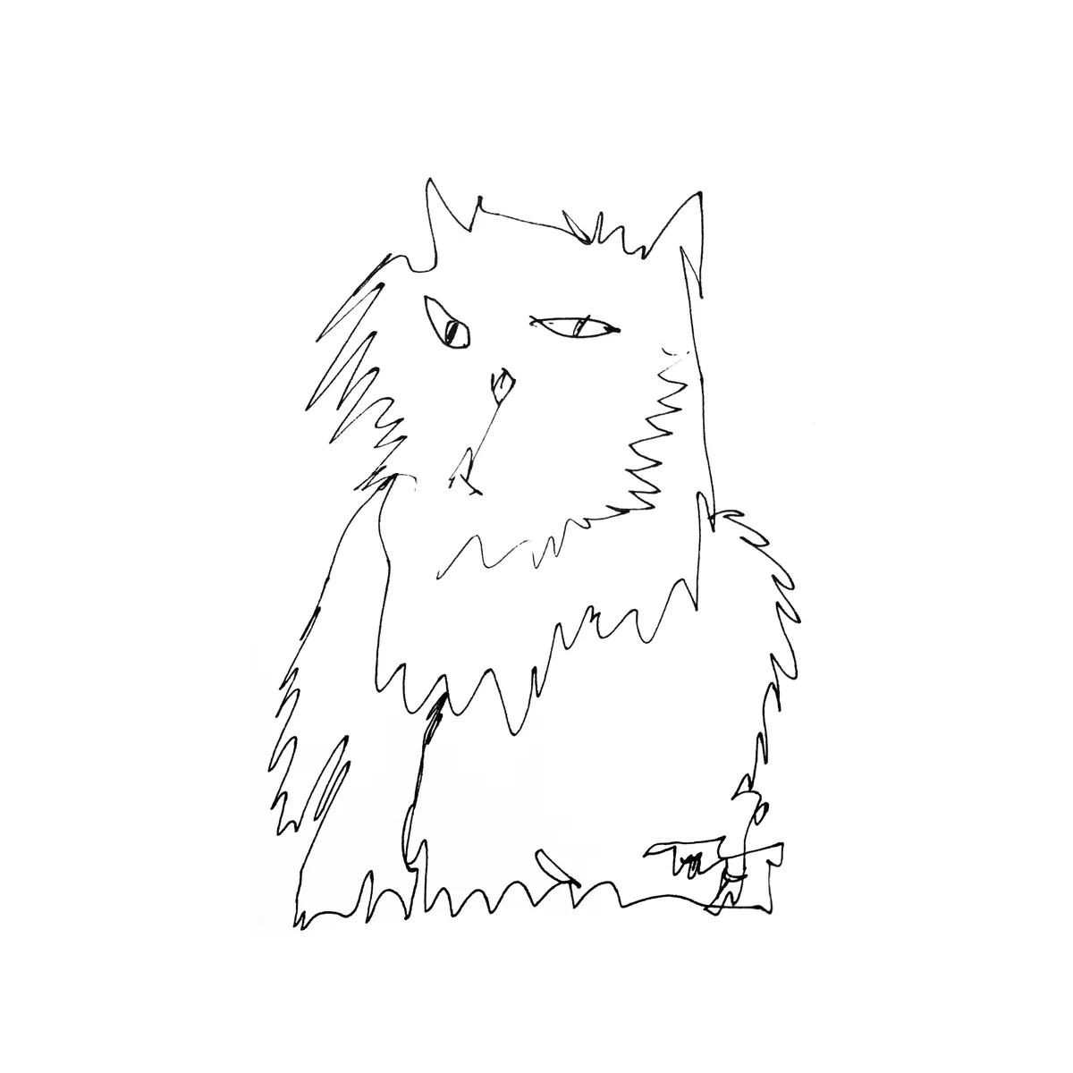 阿莫林绘制的一只长毛猫端坐线稿